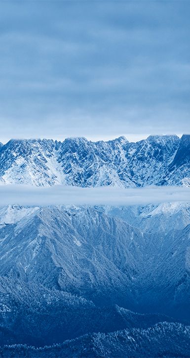 关于DB真人